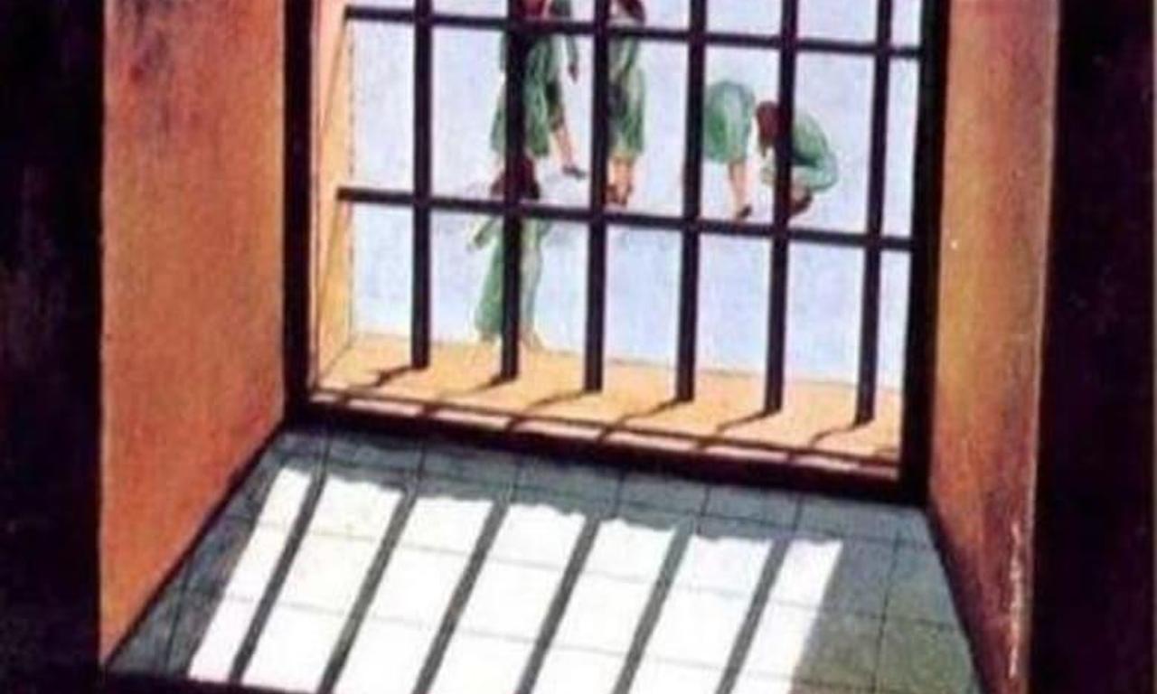 header image for Battered Flesh