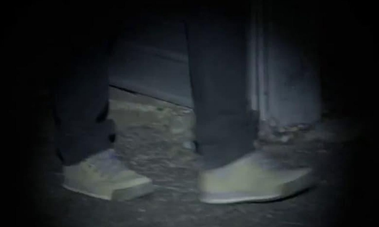 header image for Linger on Some Pale Blue Dot