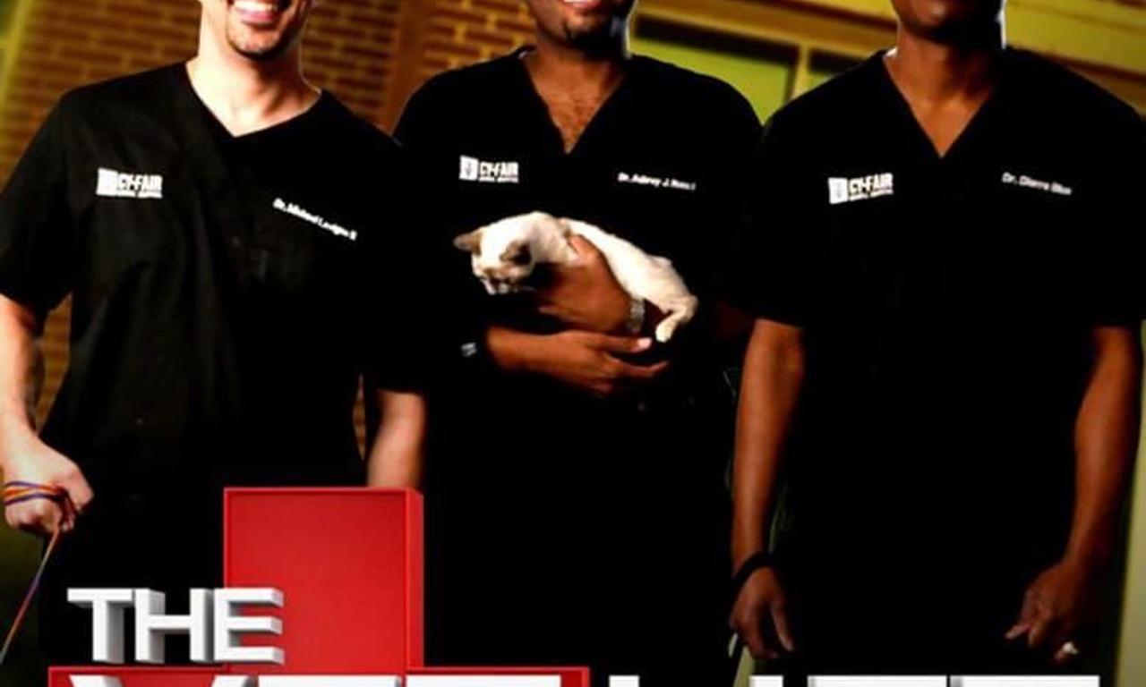 header image for The Vet Life