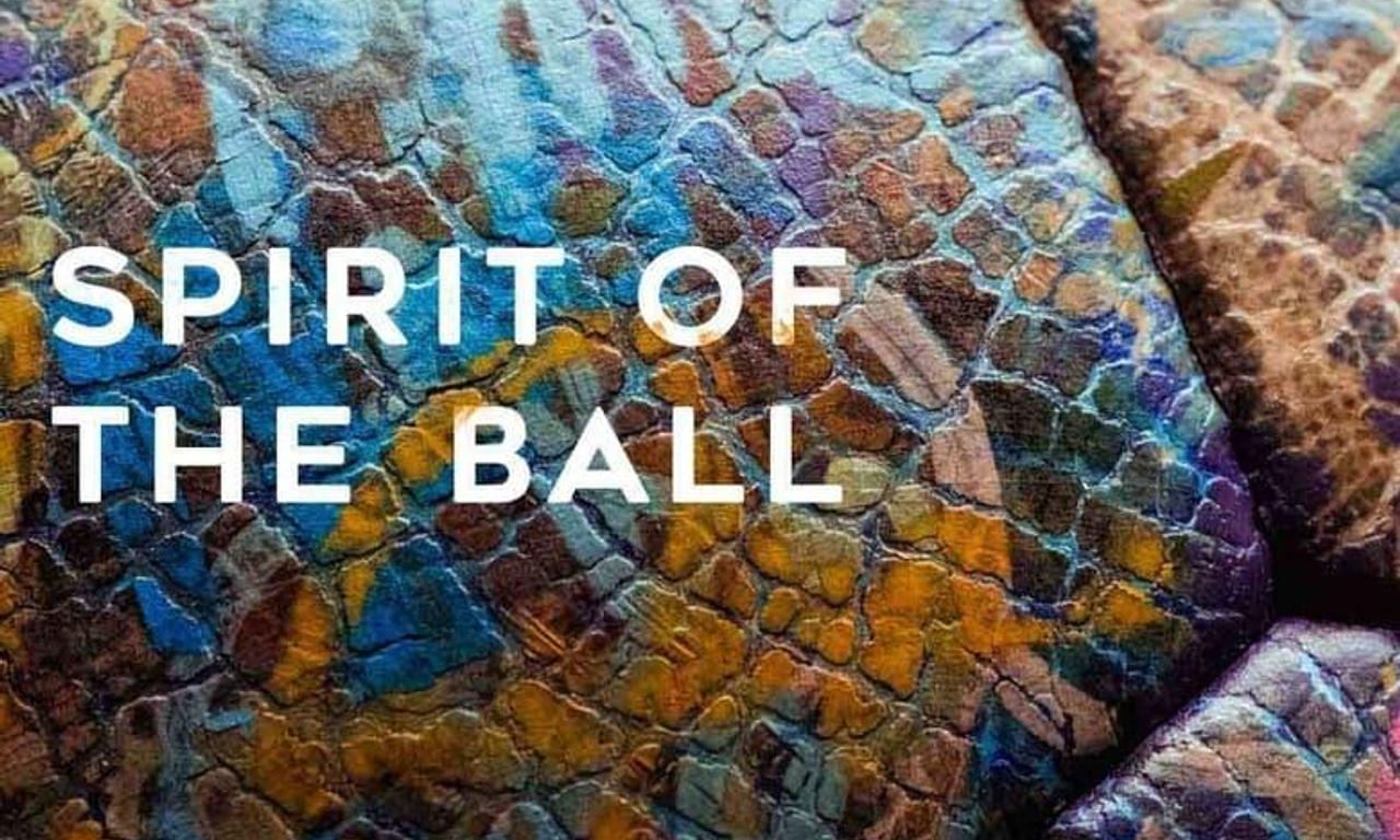 header image for Spirit of the Ball