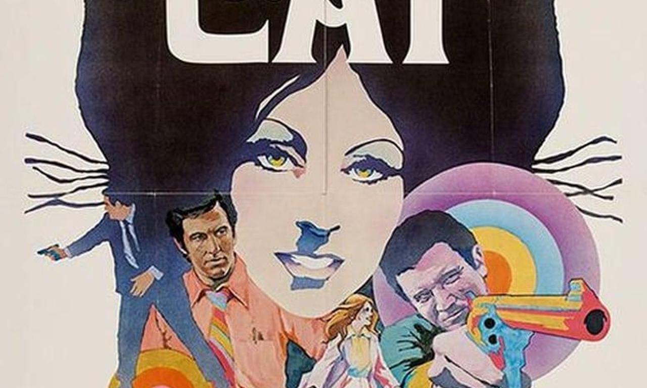 header image for The Night of the Cat