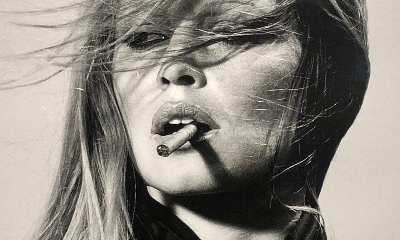 header image for Brigitte Bardot, le serment fait aux animaux