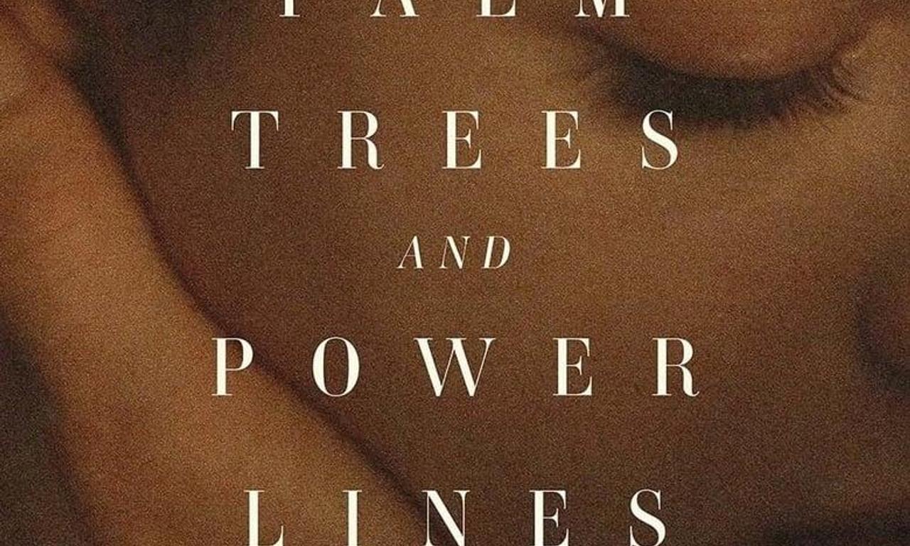 header image for Palm Trees and Power Lines