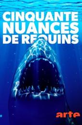 Cinquante nuances de requins
