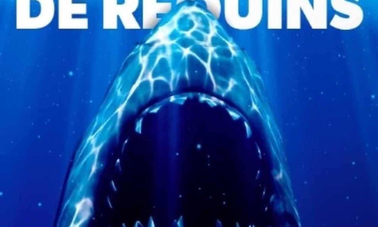 header image for Cinquante nuances de requins