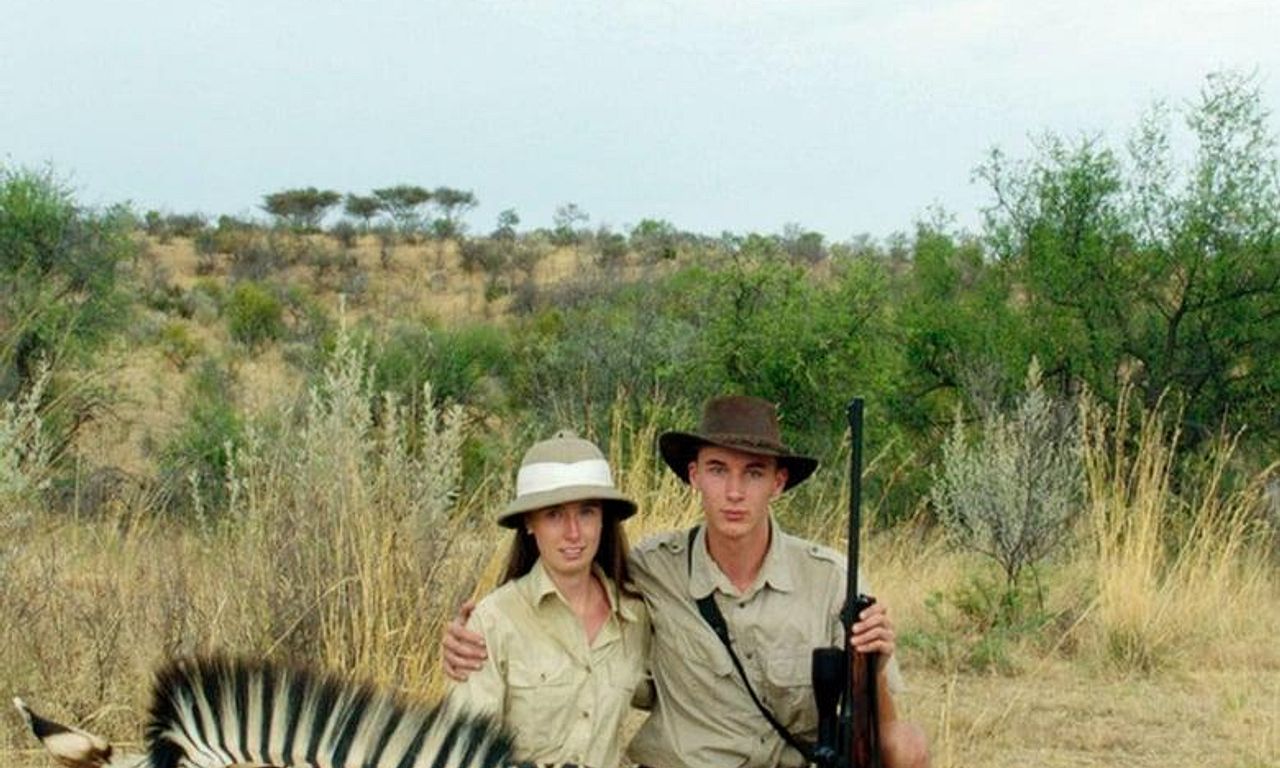 header image for Safari