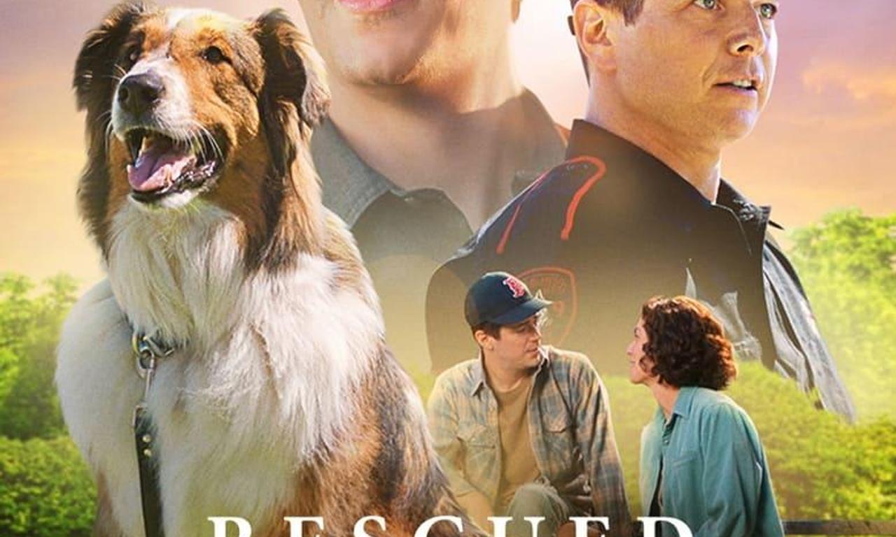 header image for Rescued by Ruby