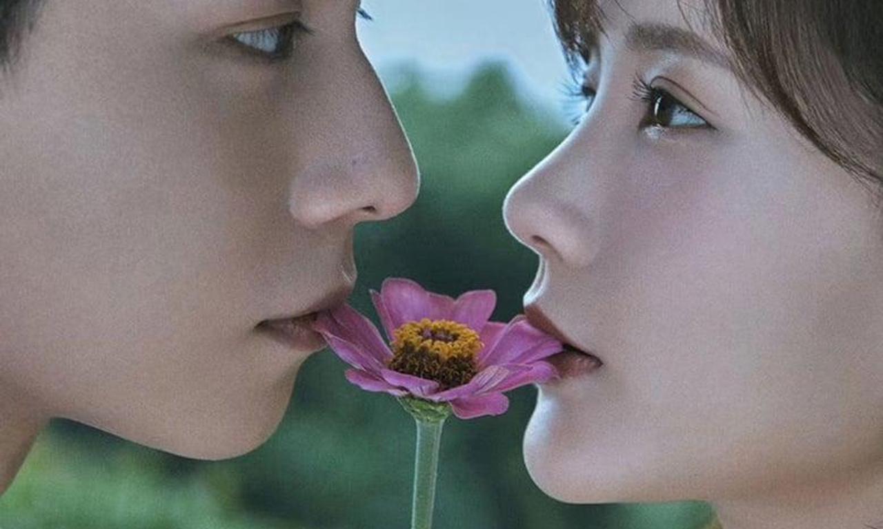 header image for Go Go Squid 2: Dt.Appledog's Time