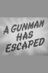 A Gunman Has Escaped