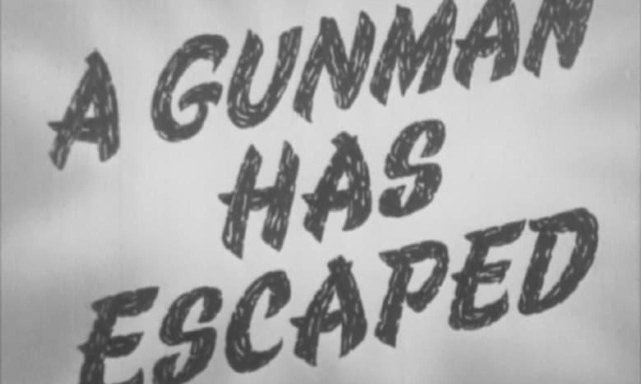 header image for A Gunman Has Escaped