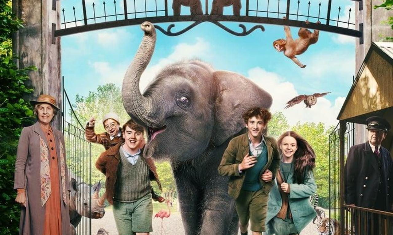 header image for Zoo