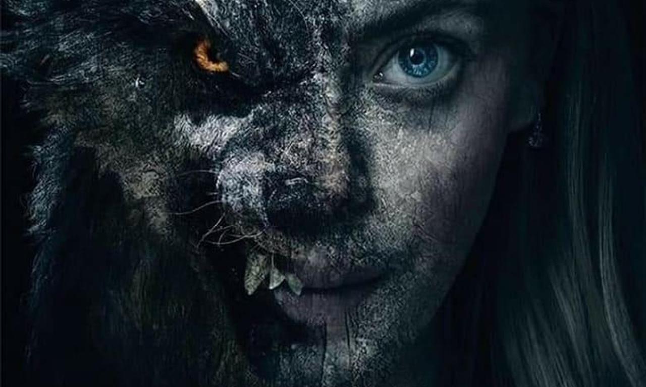 header image for Viking Wolf