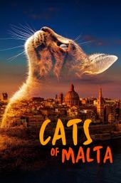 Cats of Malta