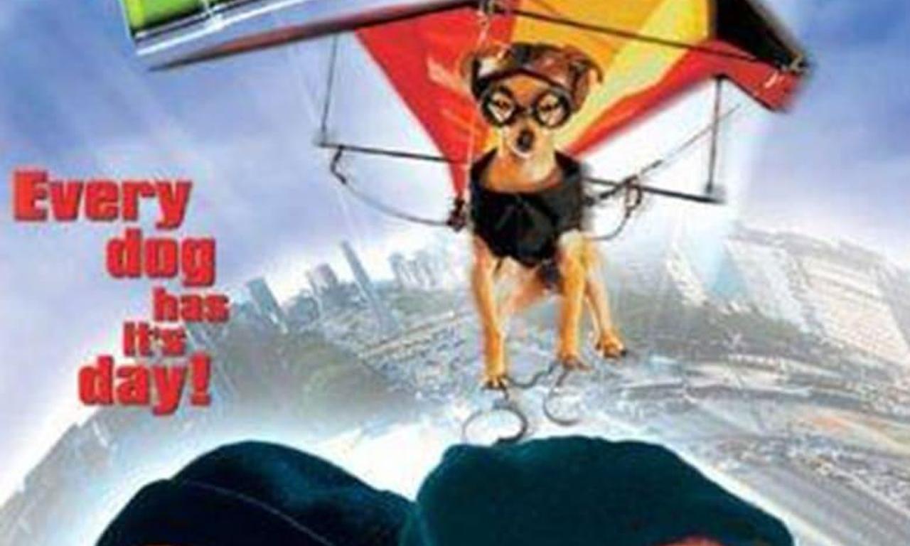 header image for Ping!