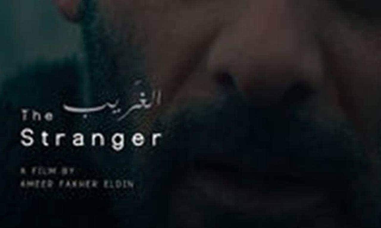 header image for The Stranger