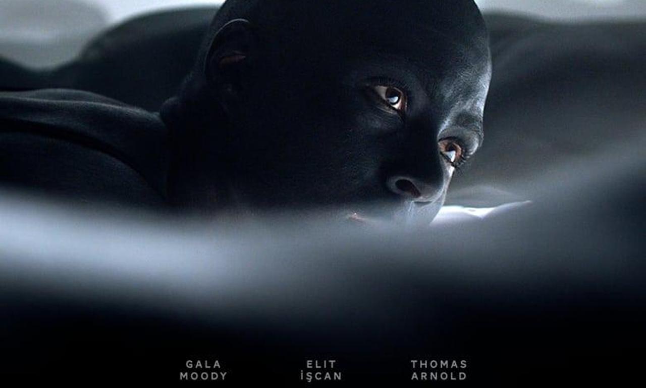 header image for The Raft