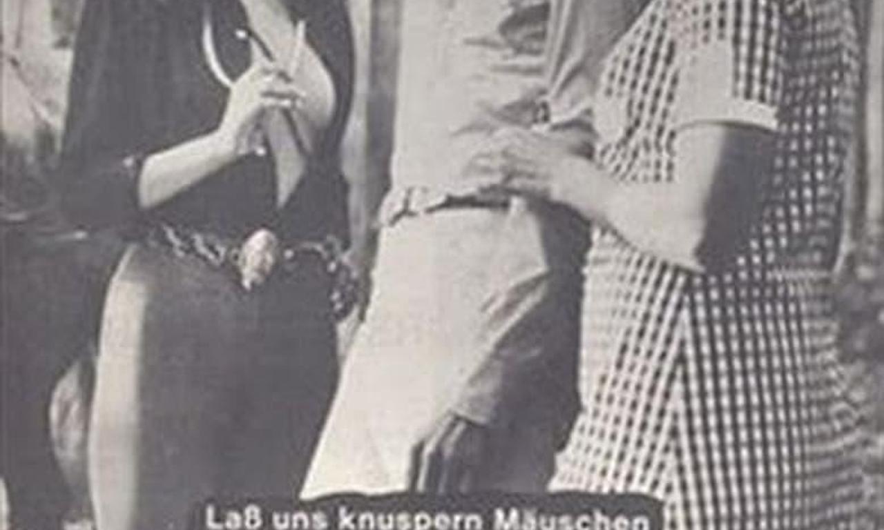 header image for Hansel and Gretel Lost in the Forest