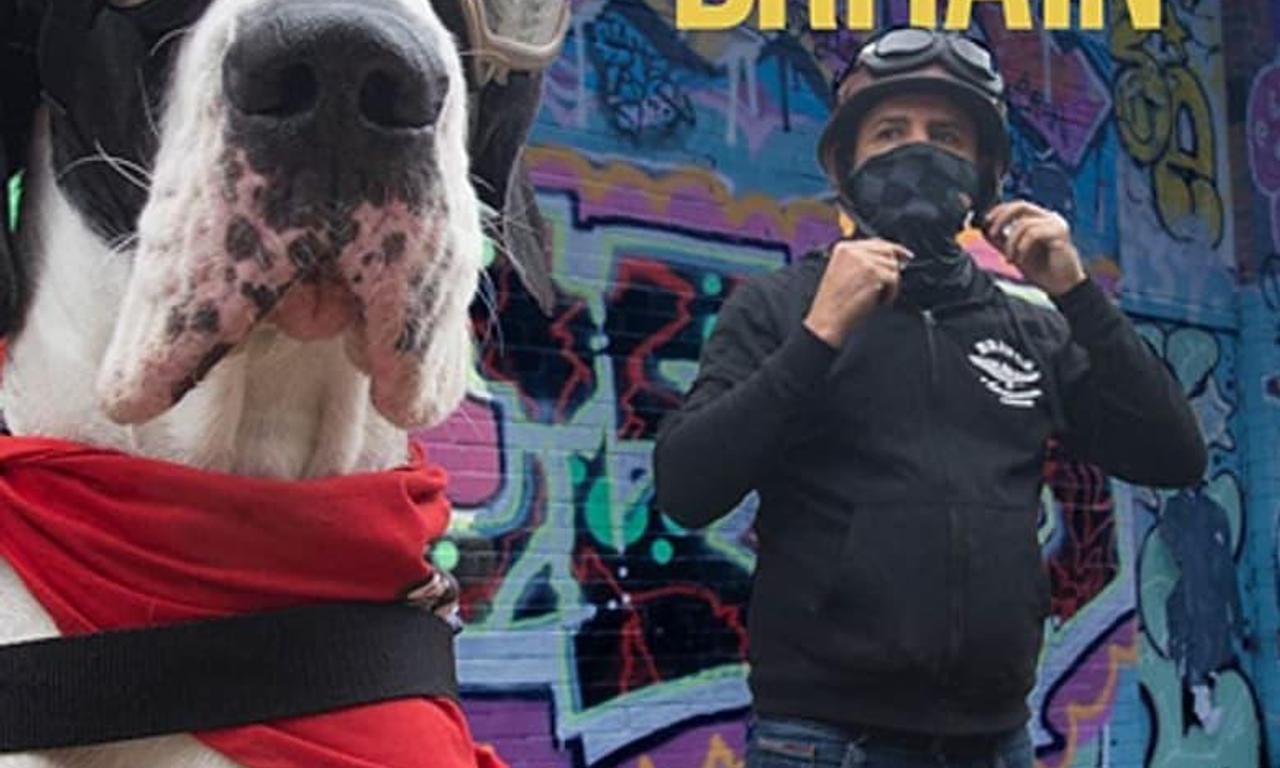 header image for Big Dog Britain