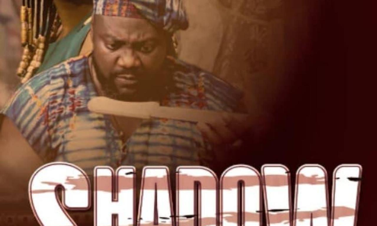 header image for Shadow Parties