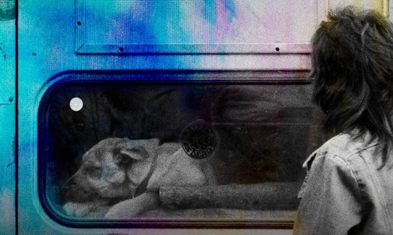 header image for Box of Rain