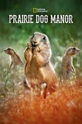 Prairie Dog Manor