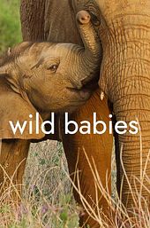 Wild Babies