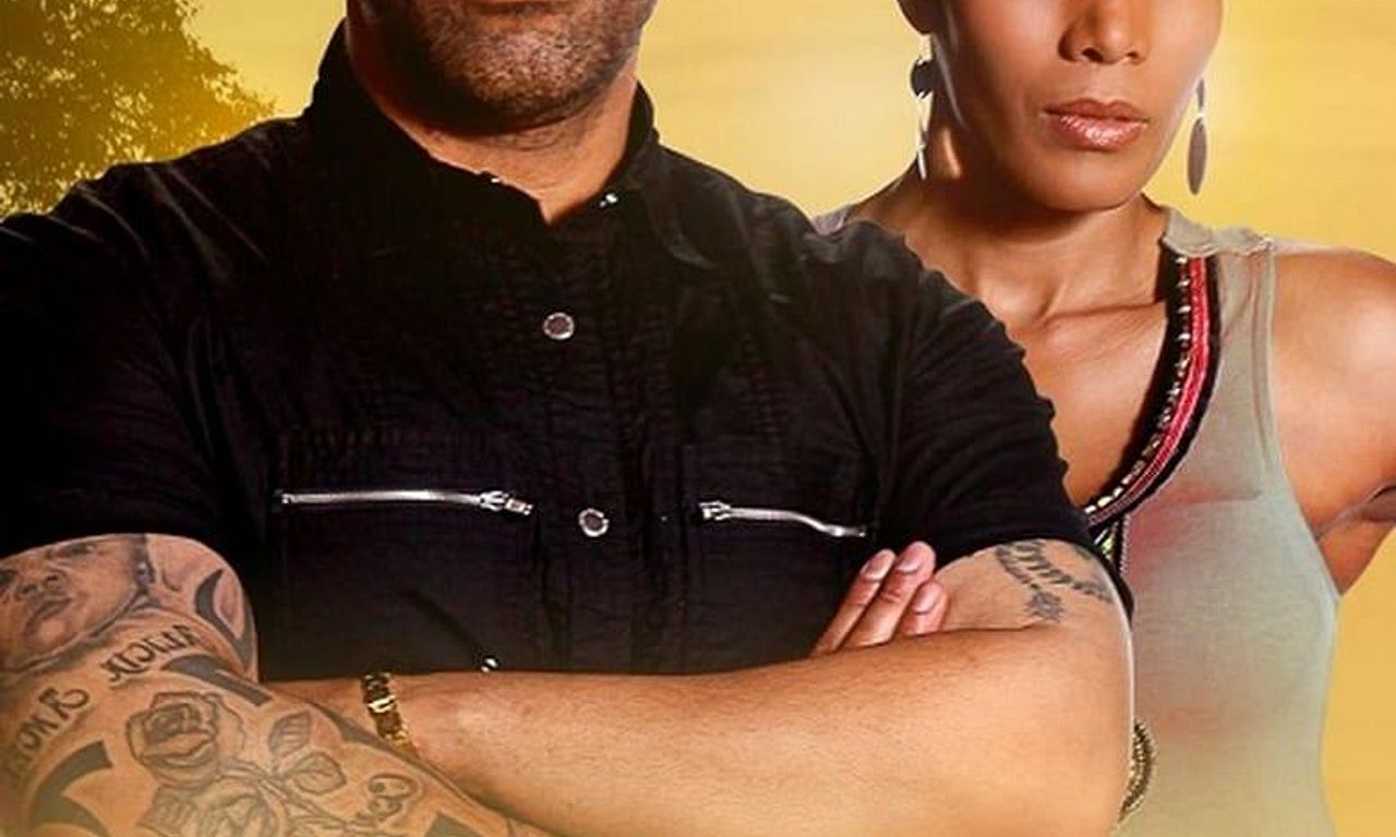 header image for The Wild