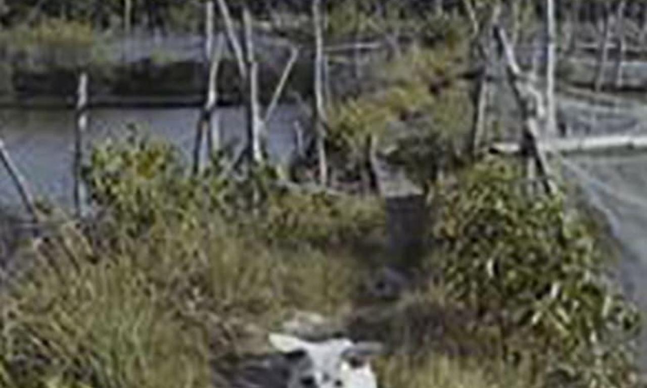 header image for Nowhere Near