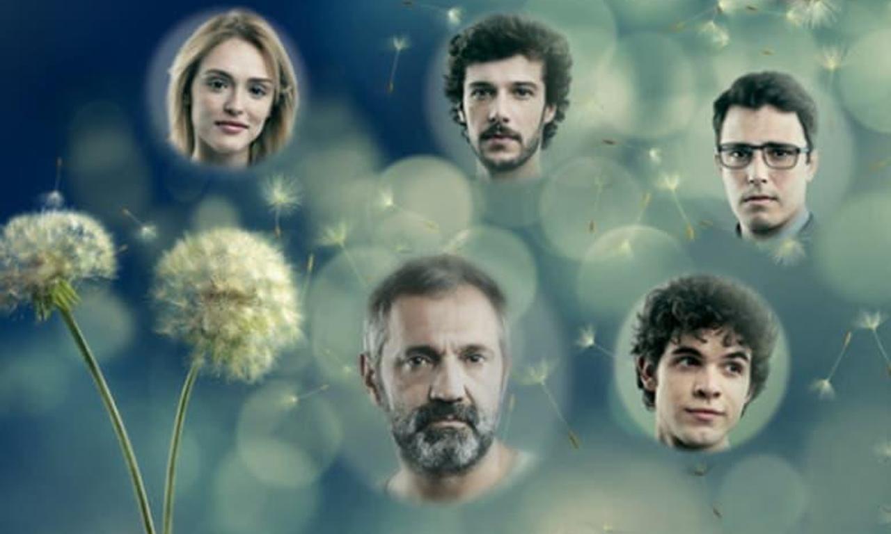 header image for Sete Vidas