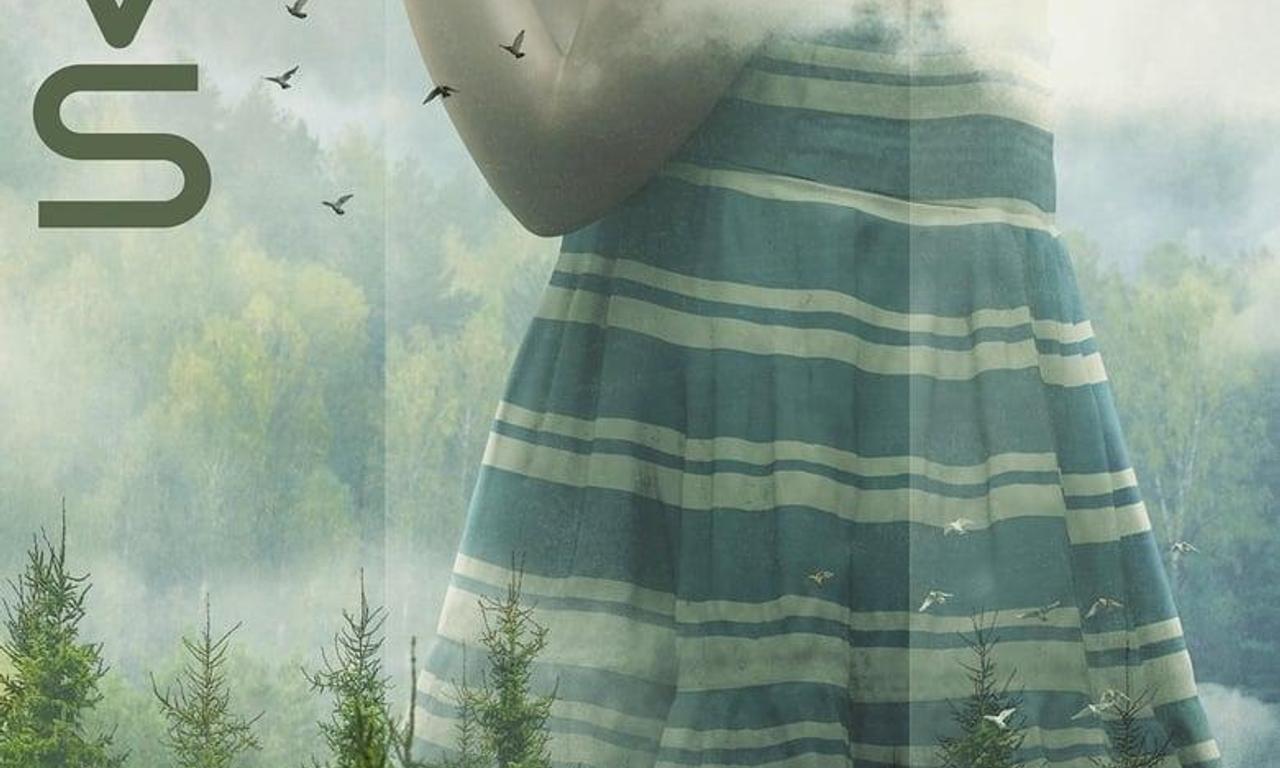 header image for Devs