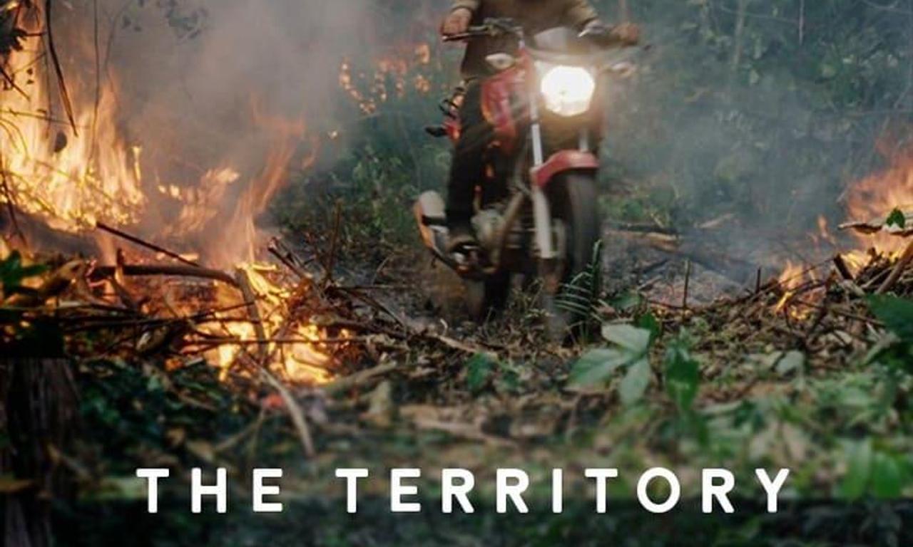 header image for The Territory