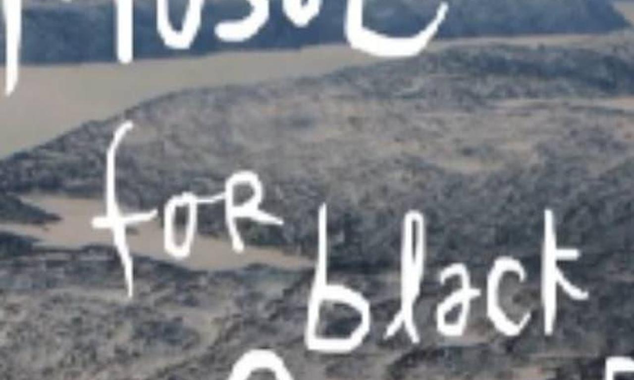 header image for Music For Black Pigeons