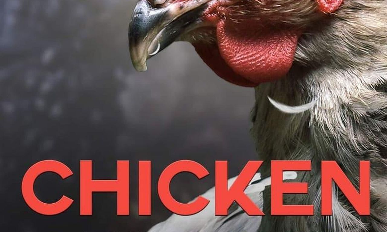 header image for Chicken Planet