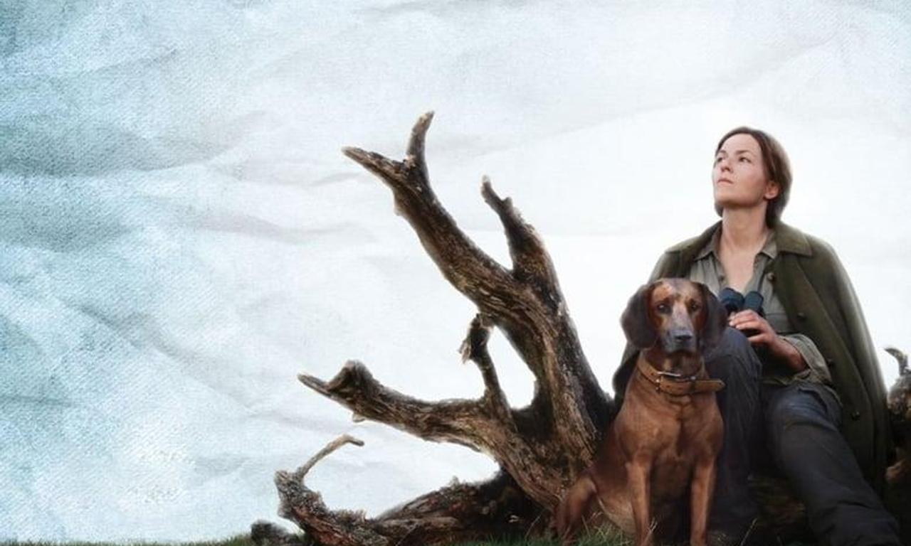 header image for The Wall