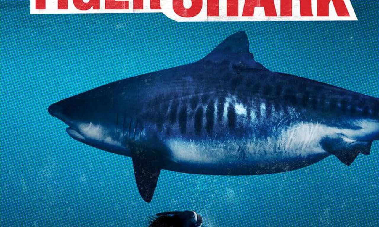 header image for World's Biggest Tiger Shark