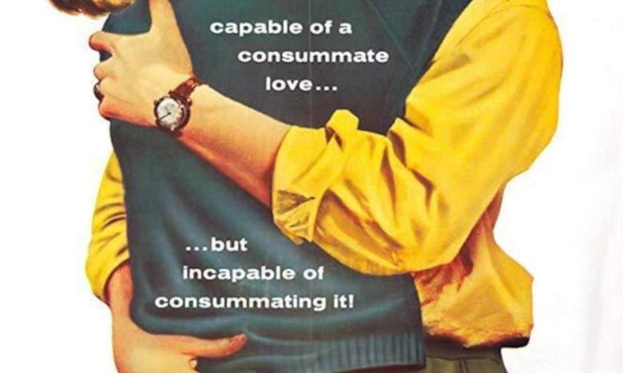 header image for During One Night