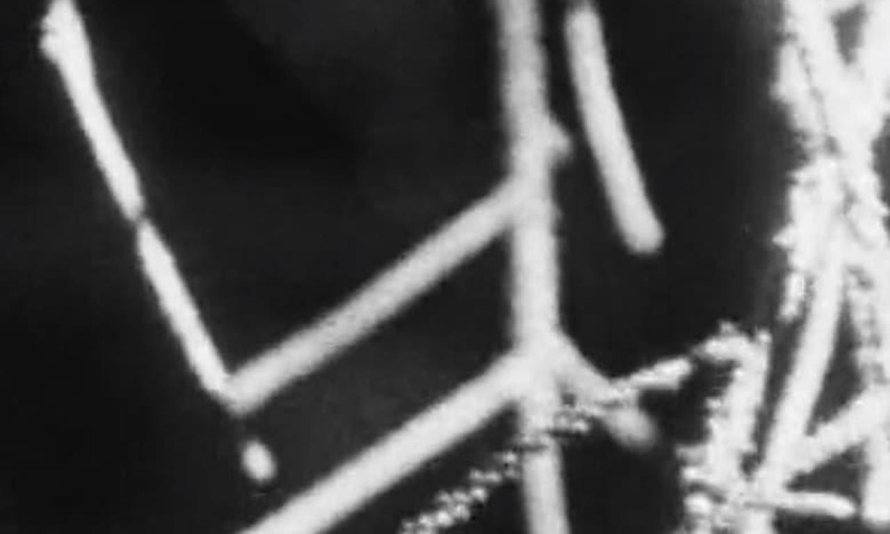 header image for Before the Deluge