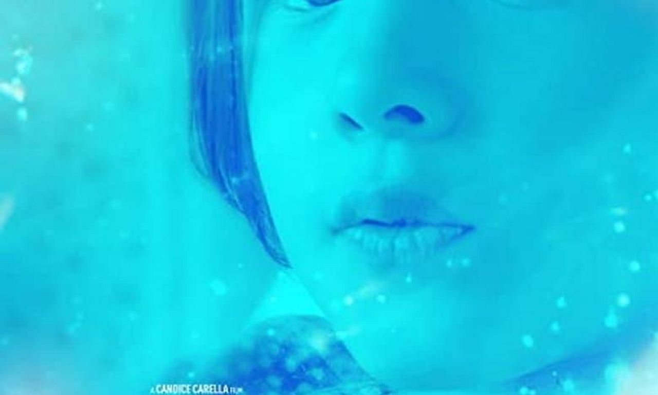 header image for Pony