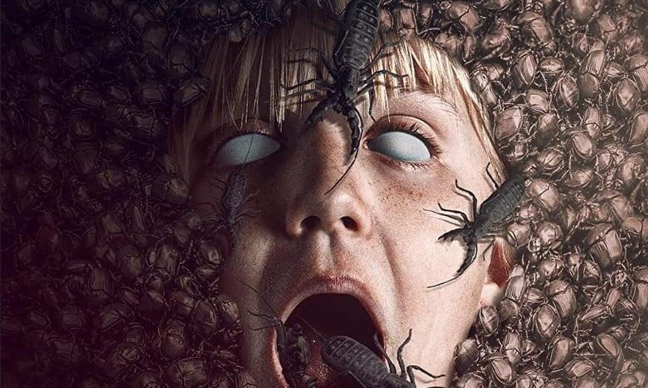 header image for The Nest