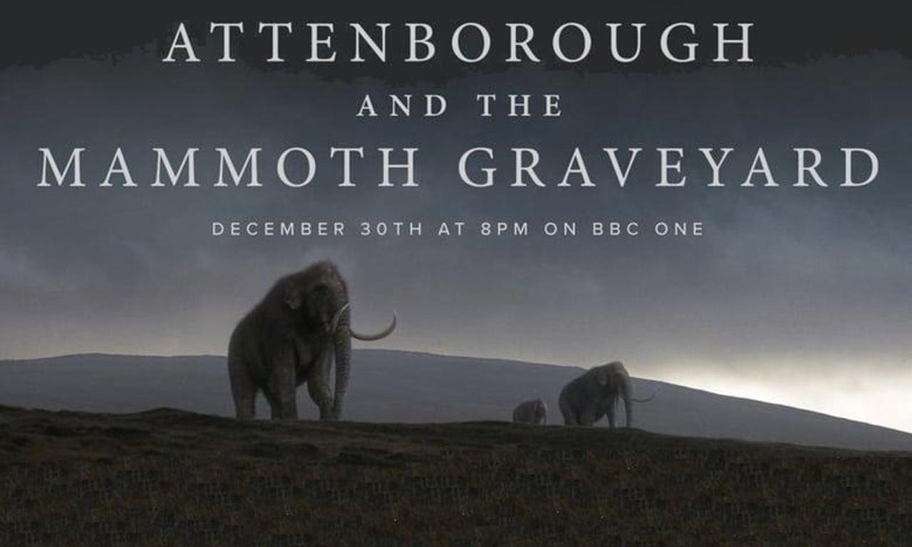 header image for Attenborough and the Mammoth Graveyard