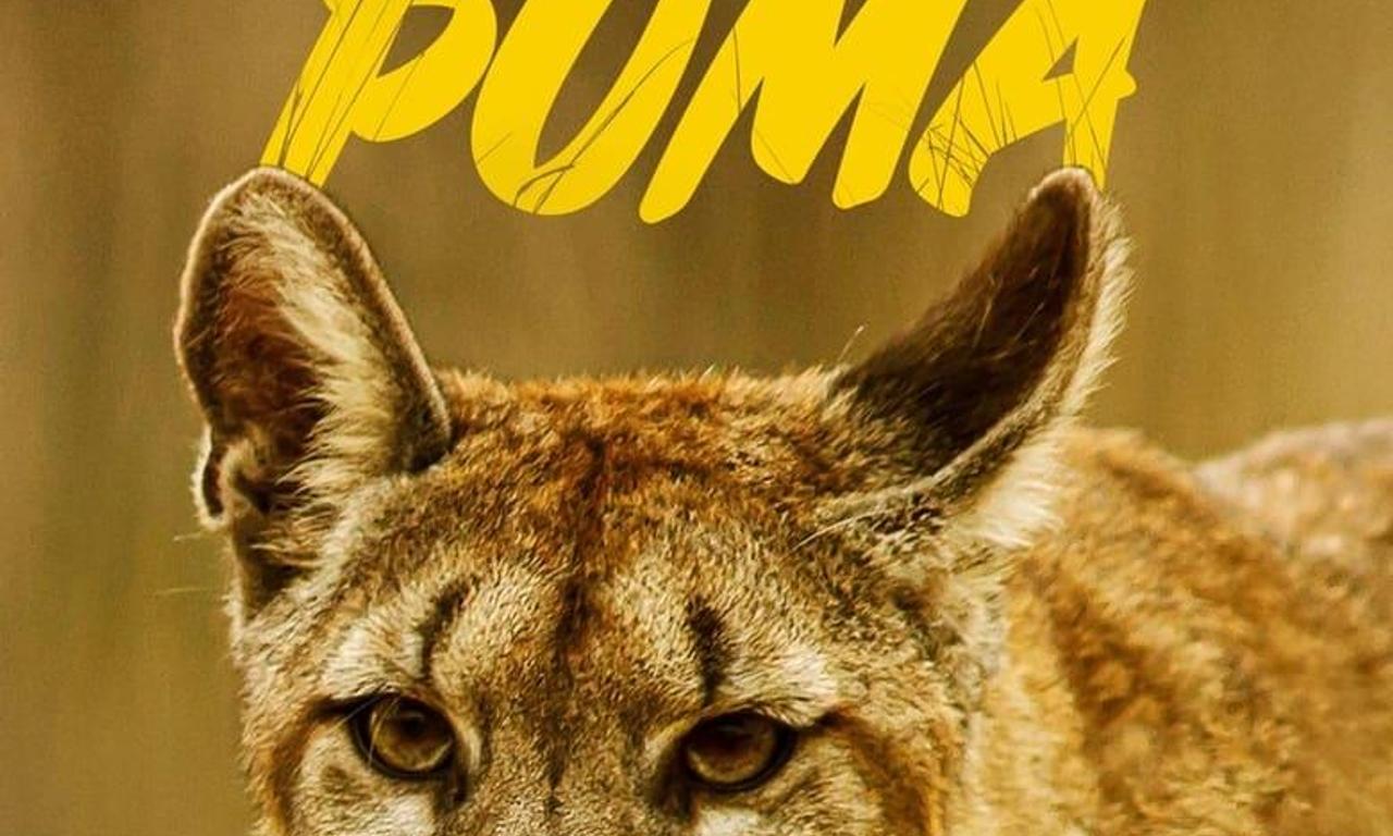 header image for Man Vs. Puma