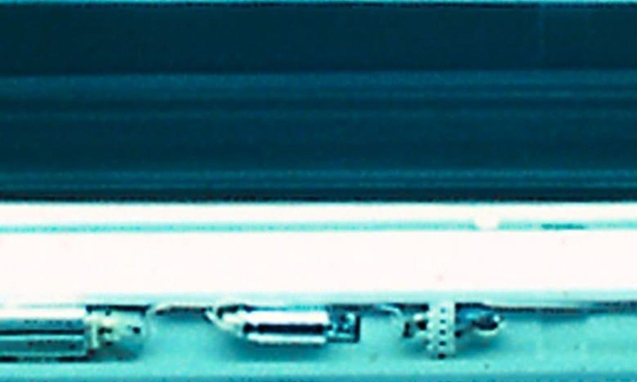 header image for Neon