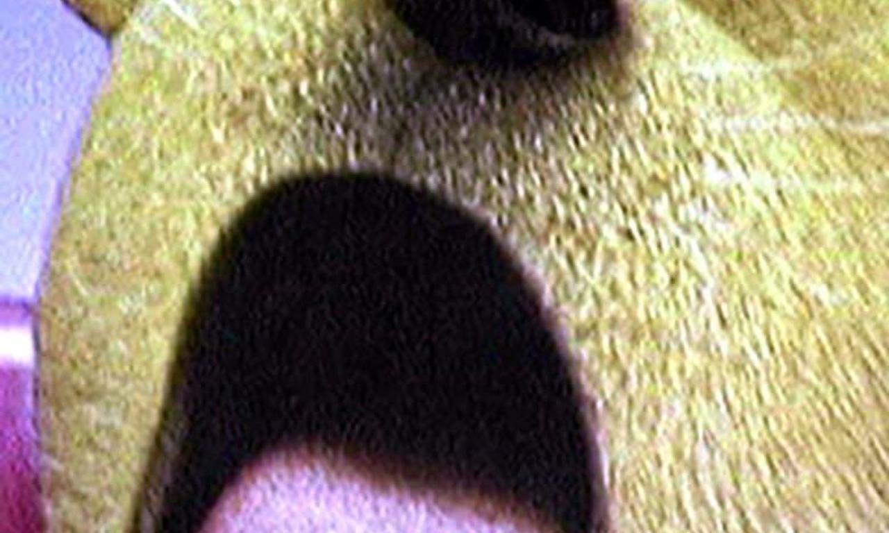 header image for Suicide