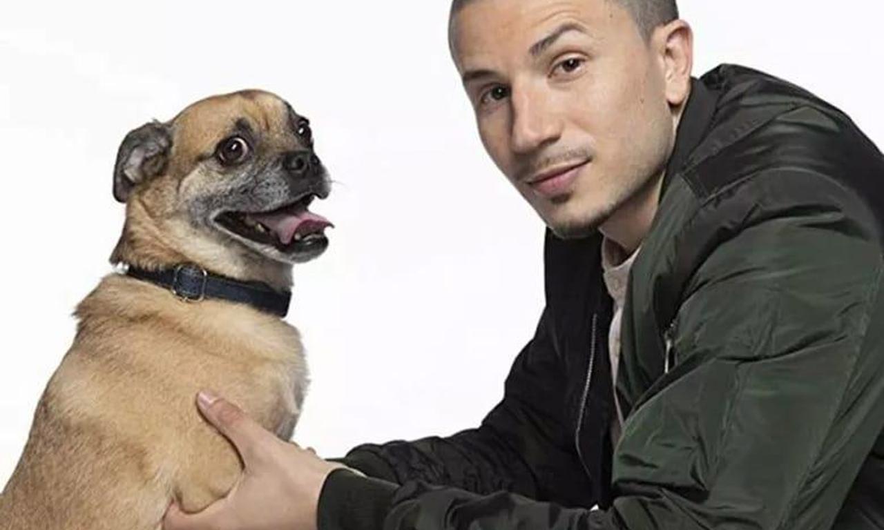 header image for It's Bruno!