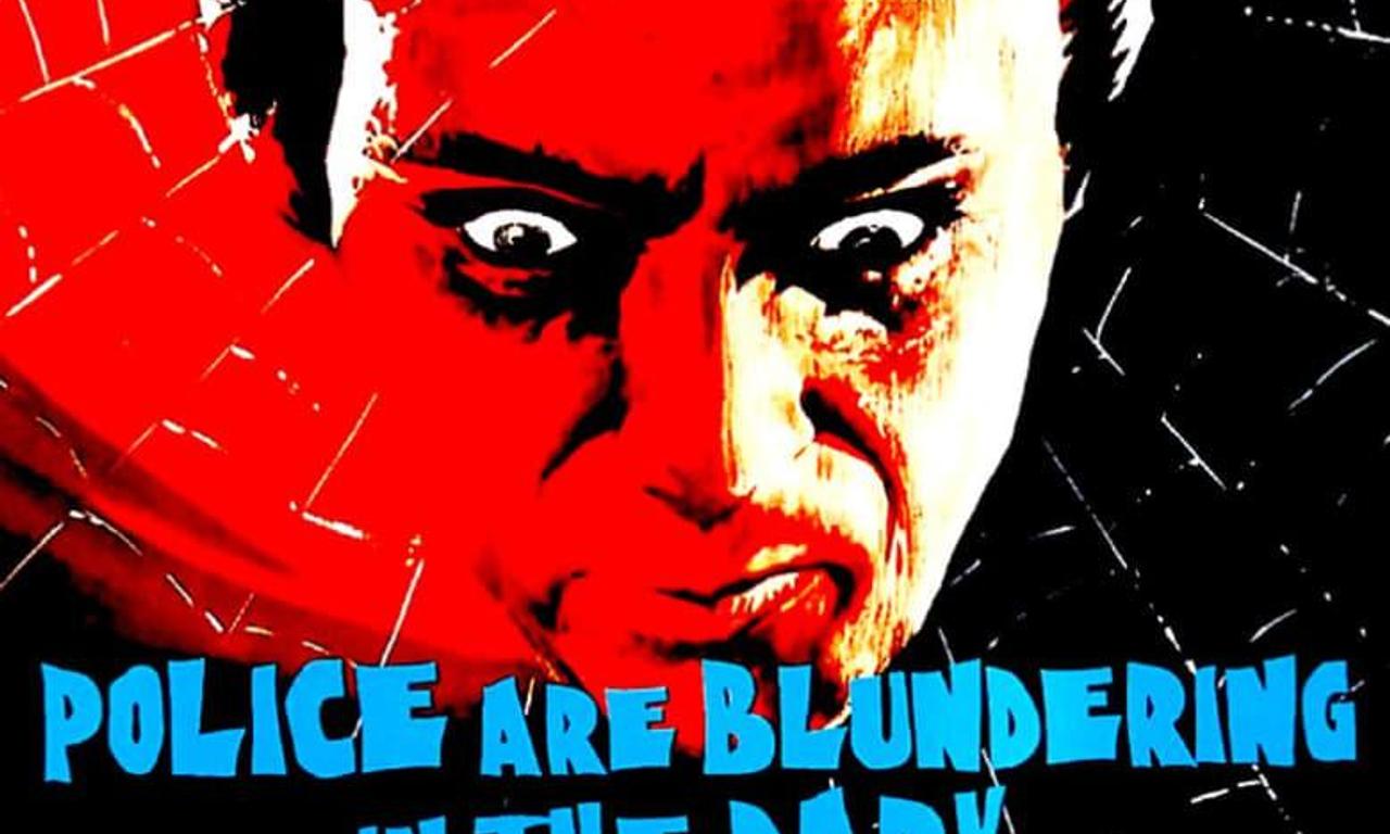 header image for The Police Are Blundering in the Dark