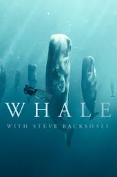 Whale with Steve Backshall
