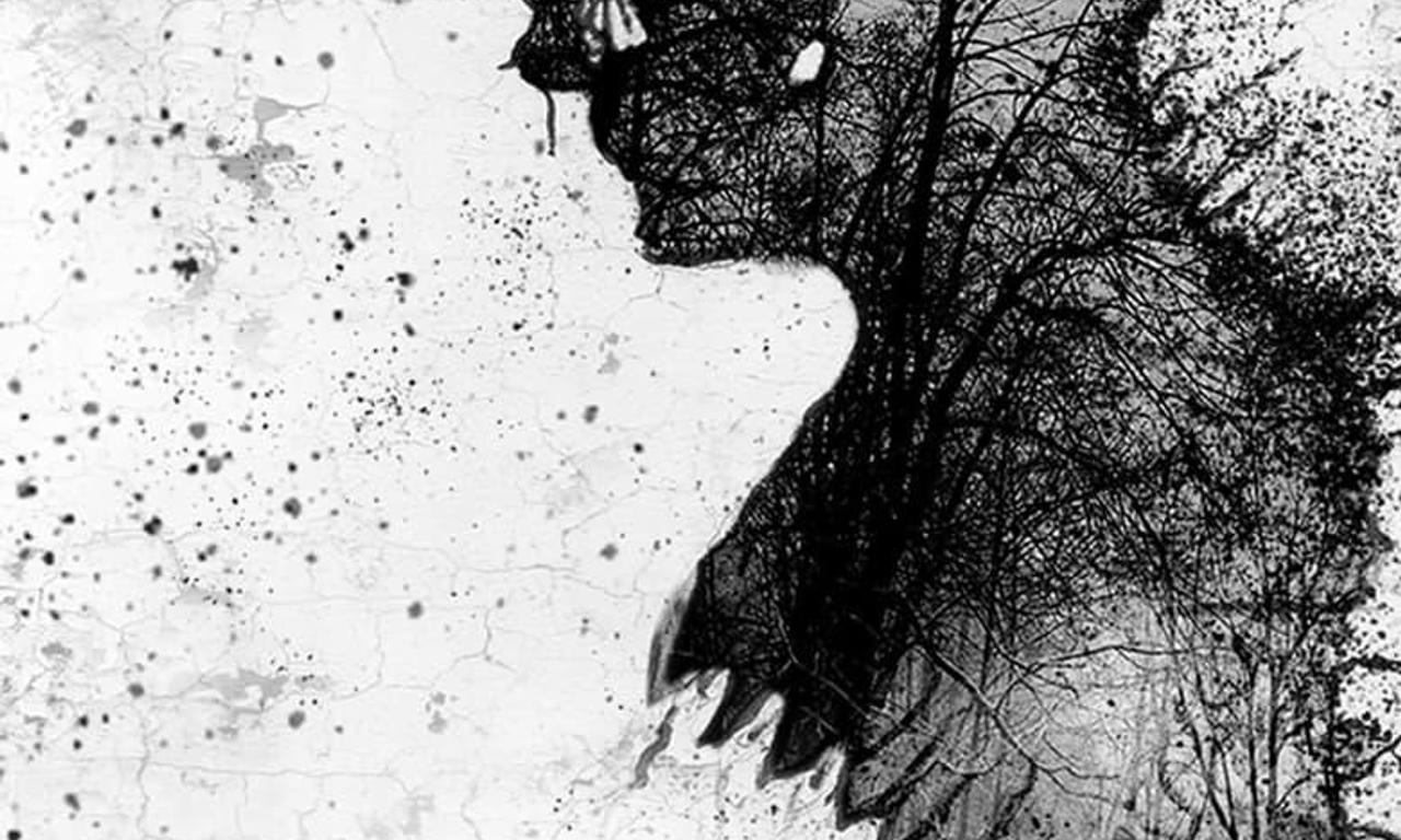 header image for The Spore