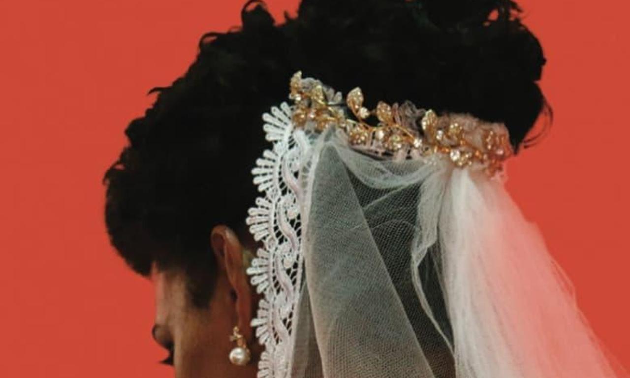 header image for Paloma