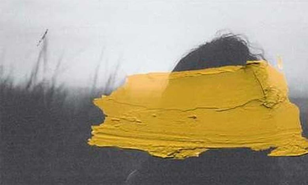 header image for Sir Mel Haze