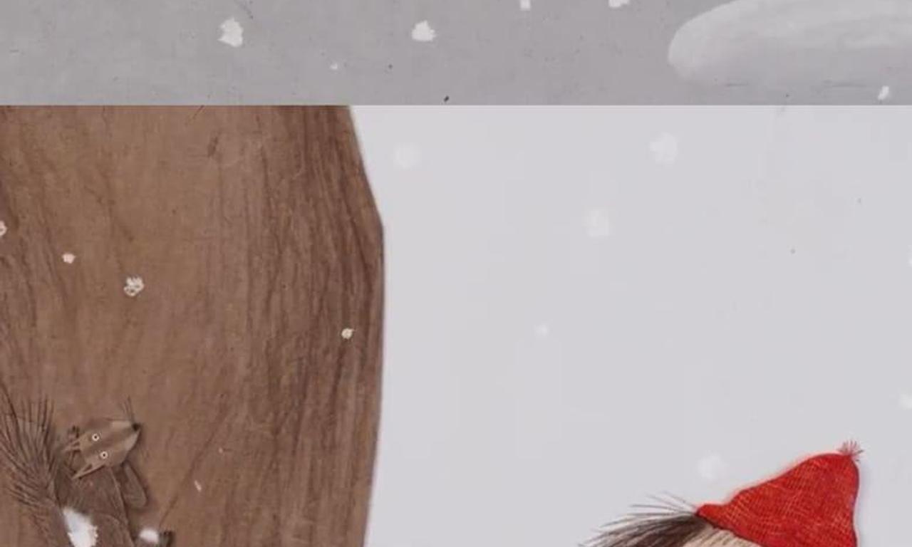 The mitten Where to Watch and Stream Online Entertainment.ie